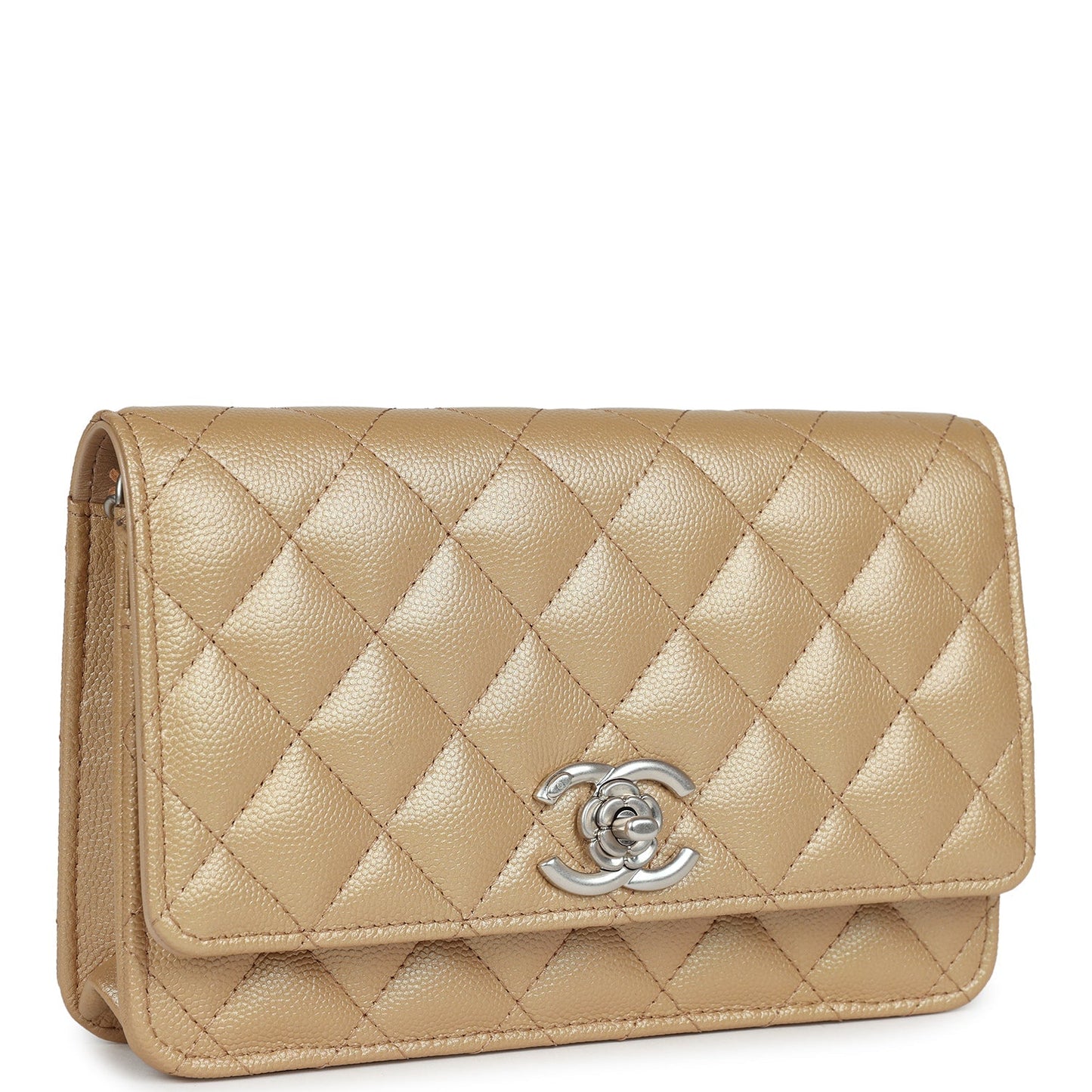 The Heritage Collection – Iconic Luxury Purse