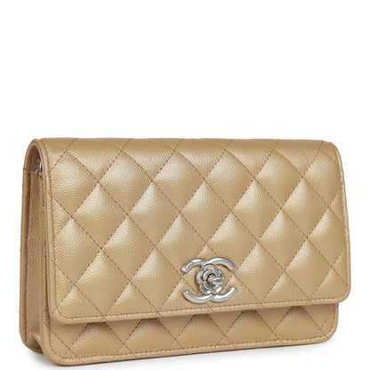The Heritage Collection – Iconic Luxury Purse