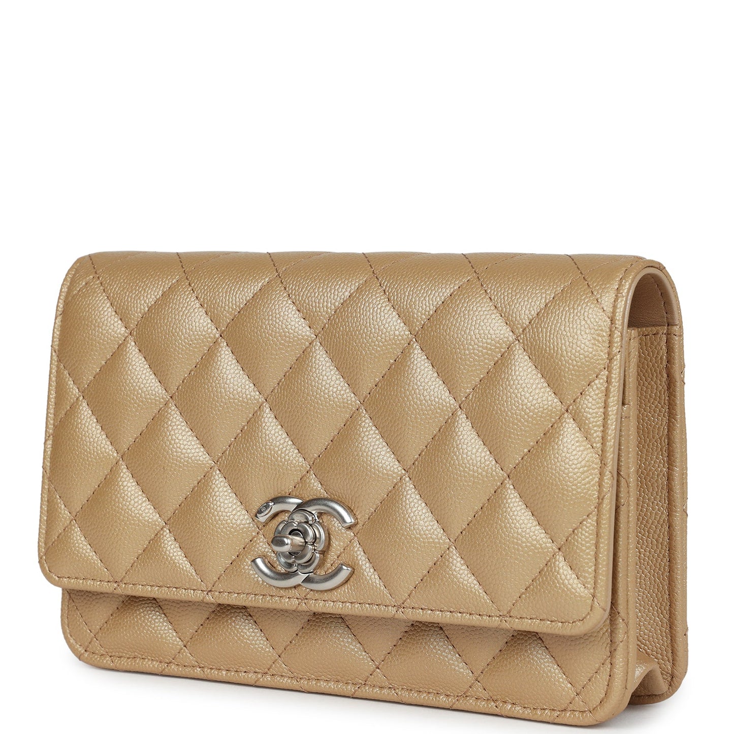 The Heritage Collection – Iconic Luxury Purse