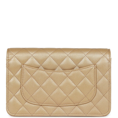 The Heritage Collection – Iconic Luxury Purse